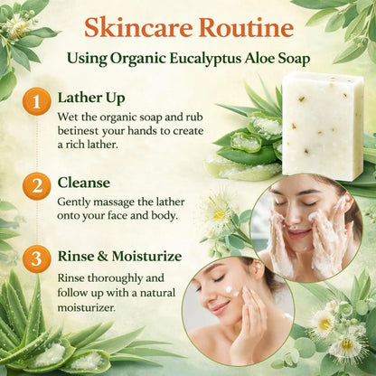 Eucalyptus Aloe Vera