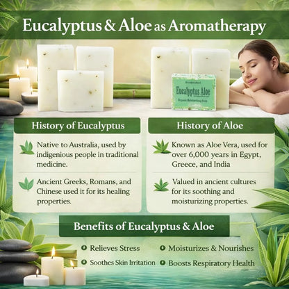 Eucalyptus Aloe Vera